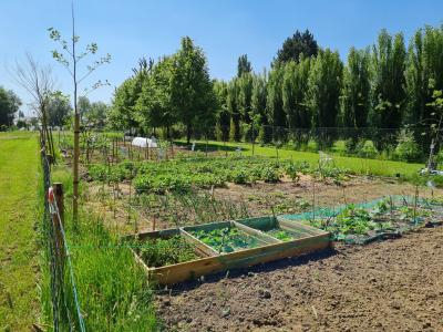 Fleurbaix jardins familiaux