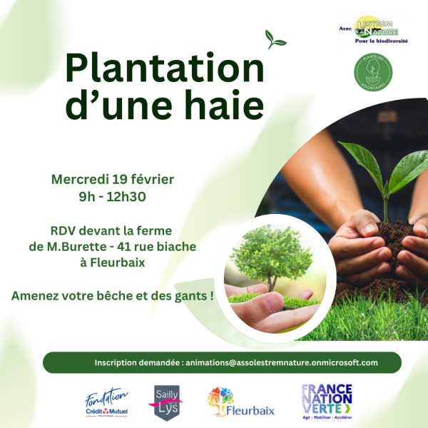 Plantation_haie_19_février_2025